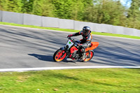 Lower Group Orange Bikes